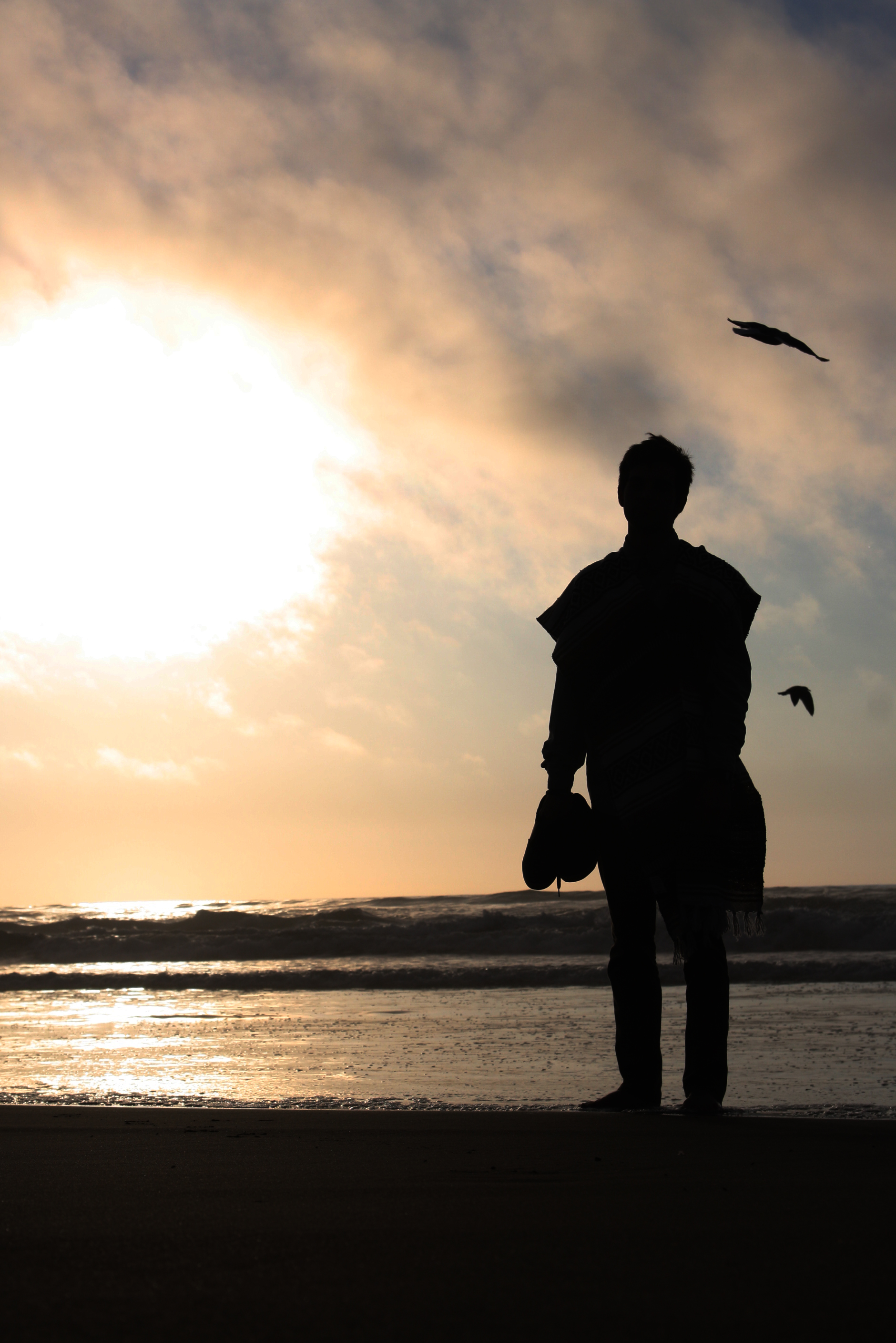 Solitary figure silhouetted on a beach at sunset with seagulls overhead